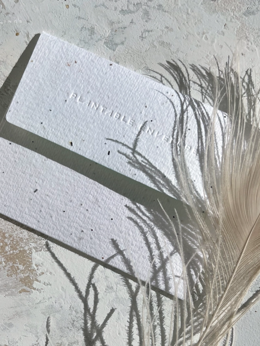 Shore Am Thankful - Seeded Thank You Card