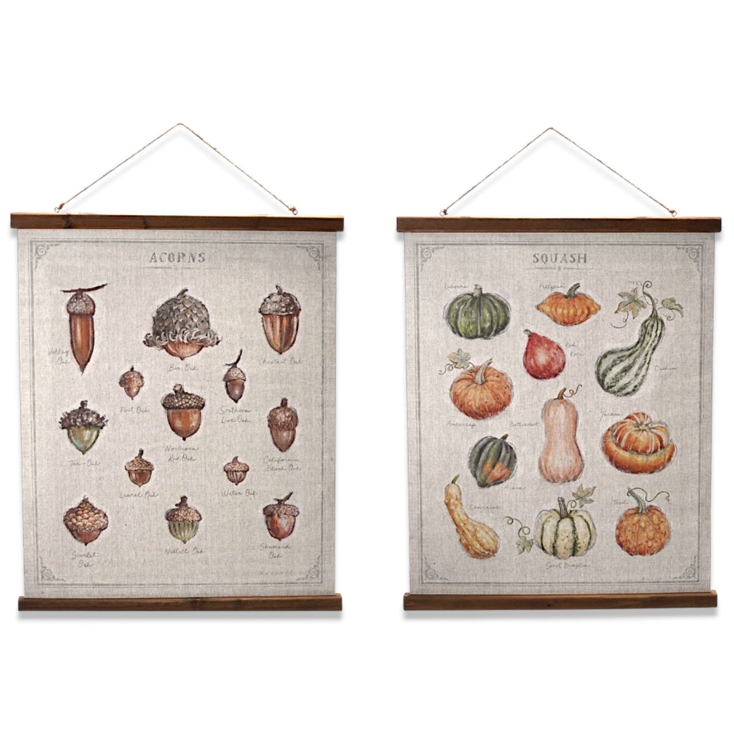 Squash and Acorn Botanical Print Wall Hanger | 2 Styles