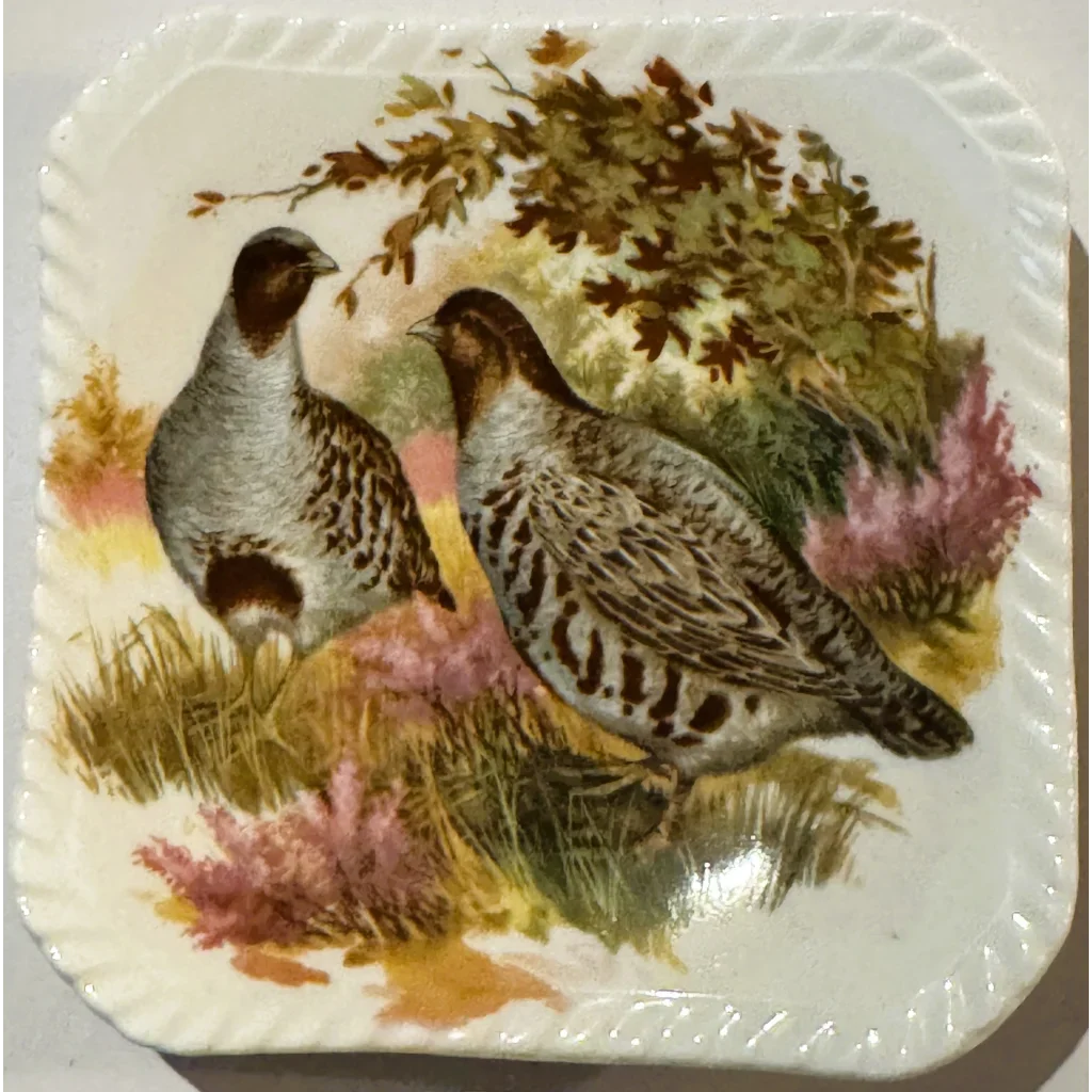 Elegant Royal Adderley Bone China Trinket Dish with Partridge Design