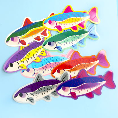 Rainbow Trout Pride Stickers