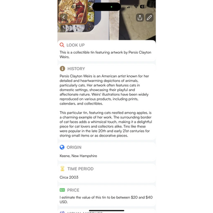 Quirky Vintage Cat Tin by Persis Clayton Wiers