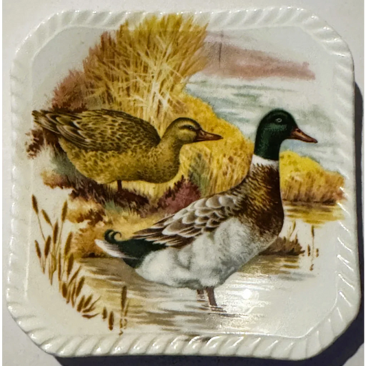 Royal Adderley Duck Square Fine Bone China Saucer Trinket Dish